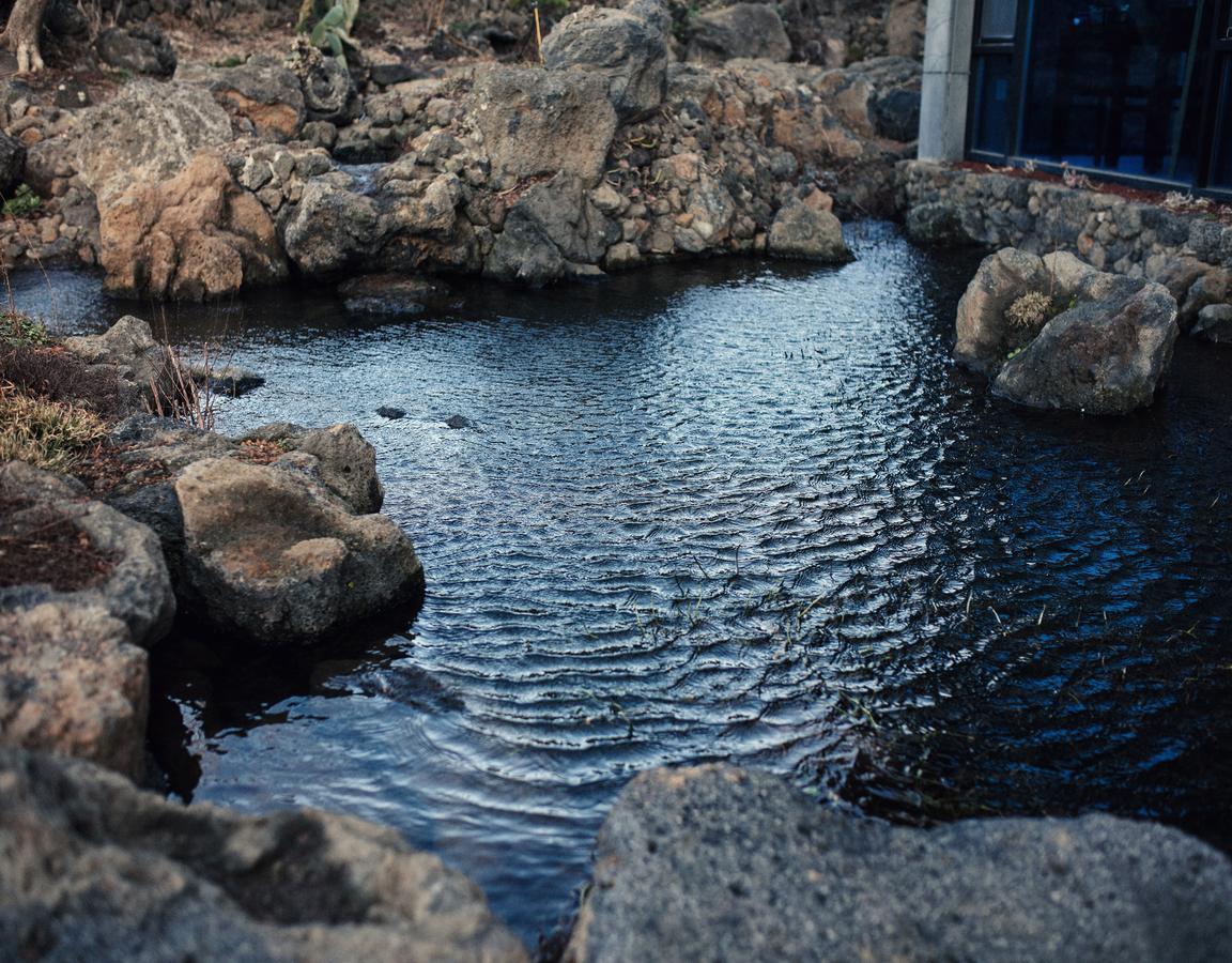 Jeju Feel Pension Kültér fotó